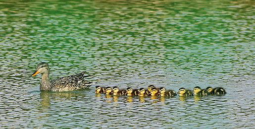 融合纳西族文化的奇幻解谜游戏《东巴》Steam页面上线 2月22日正式发售